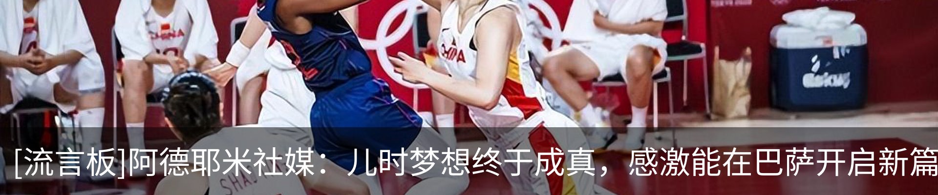 新闻动态